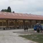 construction d'un grand manège équestre à Saint Rémy de Provence