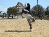 cso-poney-club-alpilles-2