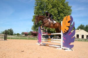 CSO à Saint Rémy de Provence