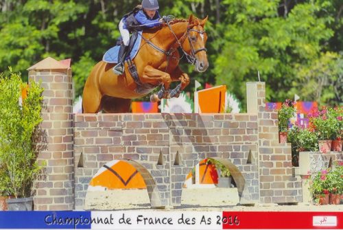 Manon & Agissente championnat des As CSO 2016 avec les Ecuries des Dalennes St Rémy Jump