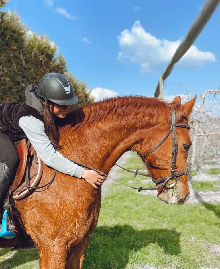Licol D’écurie Réglable En Cuir Marron Pour Poney – Taille Weanling
